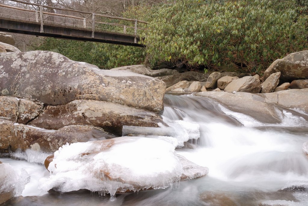 Chimney Tops Trail by C. Oliver Yang