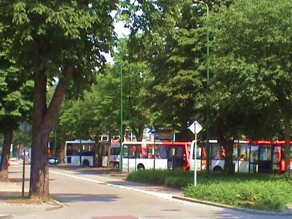 BUSSTATION OSS by M.C. vd HEIJDEN