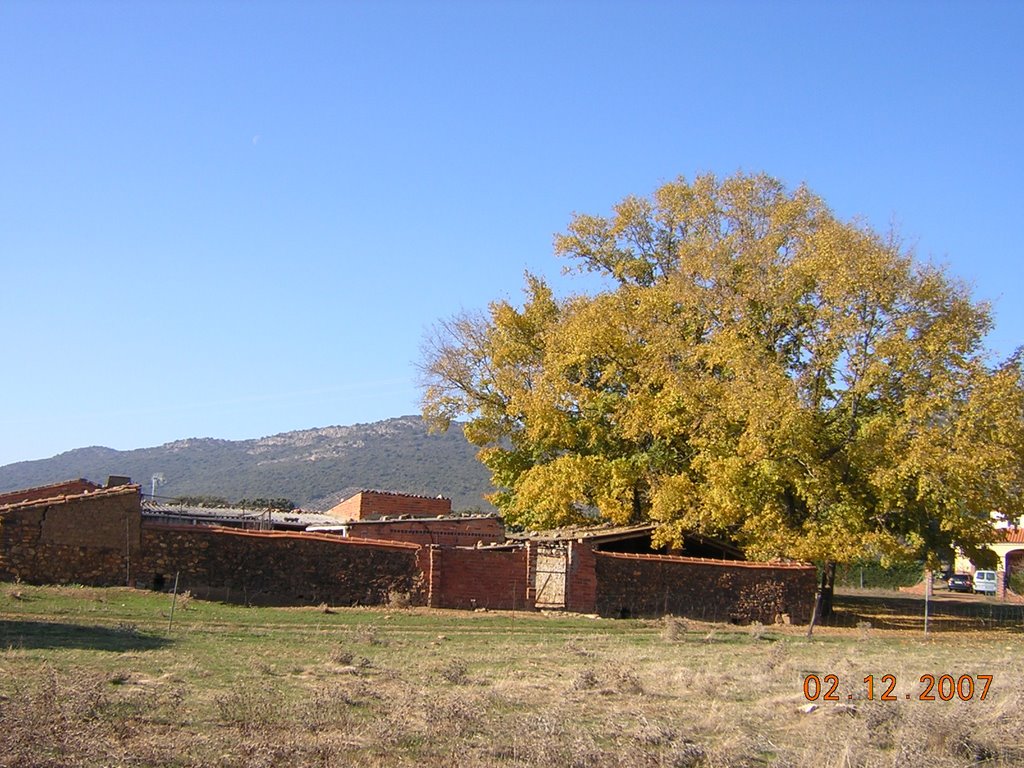 Otoño en el Regajo Lobo 3 by Luis Miguel Cano