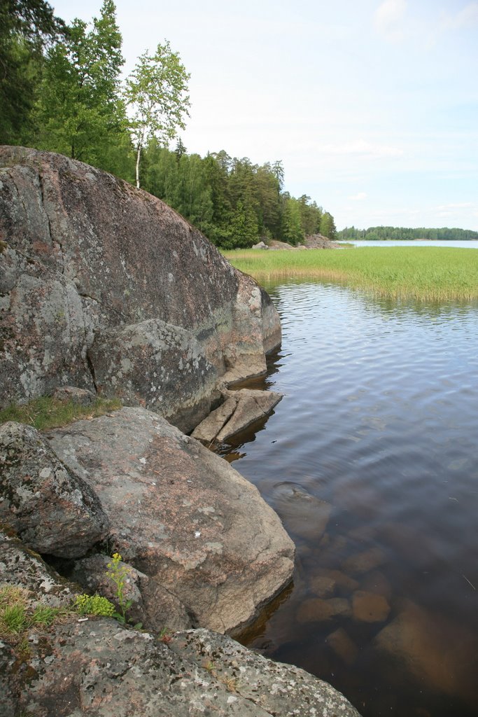 Vyborgsky District, Leningrad Oblast, Russia by kim1917