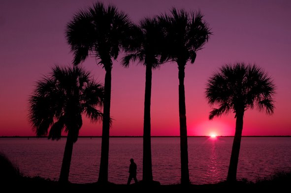 Picnic Island Park Tampa - Sunset by Stephen McConnell