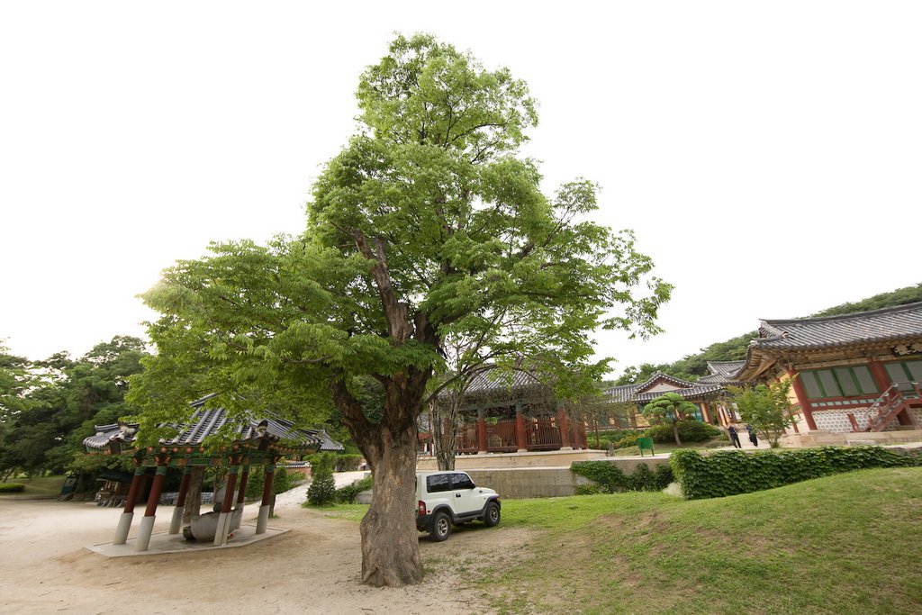 여주 신륵사 by visitkorea.or.kr