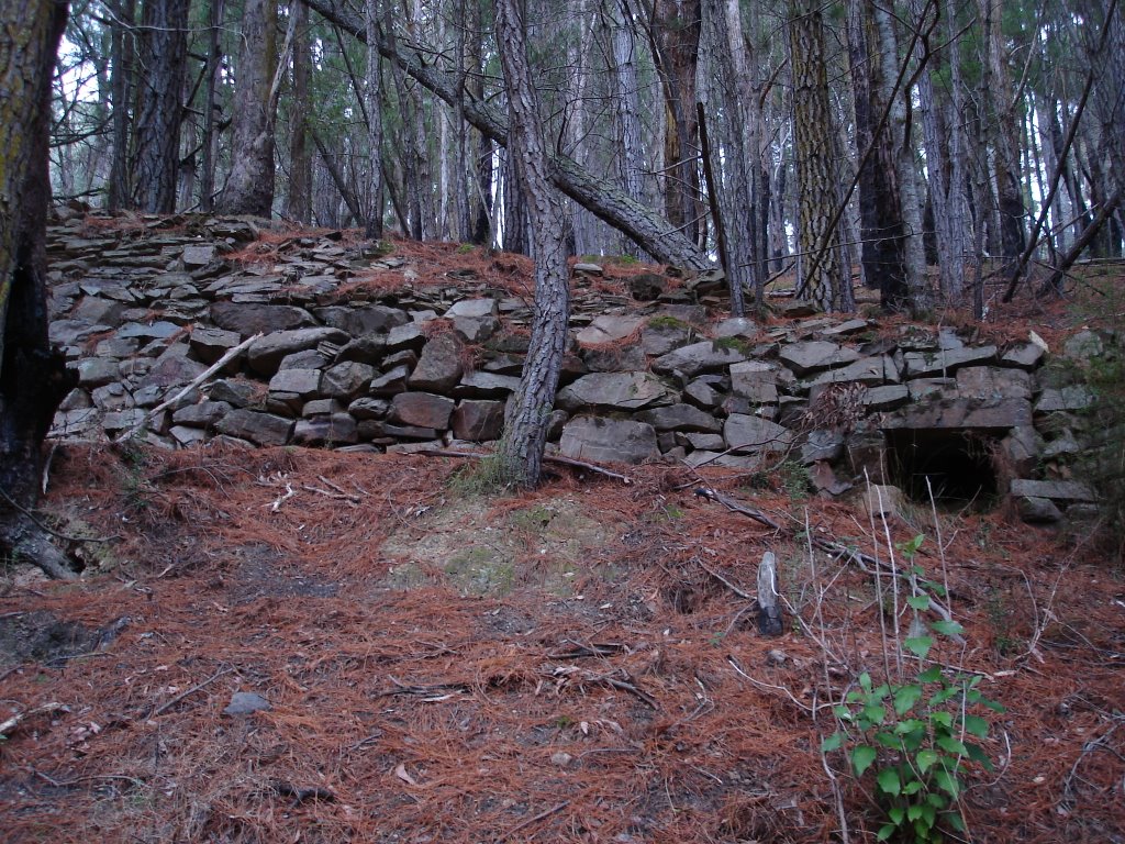 Old hut site by rob770221