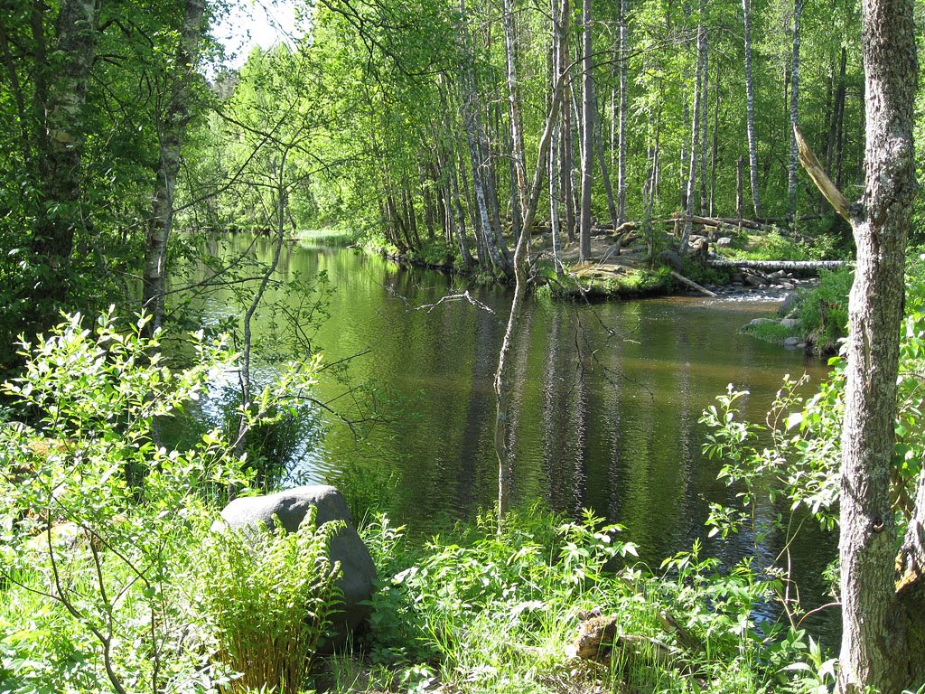 Река Волчья (Volchya river) by Alexandra Kilanova