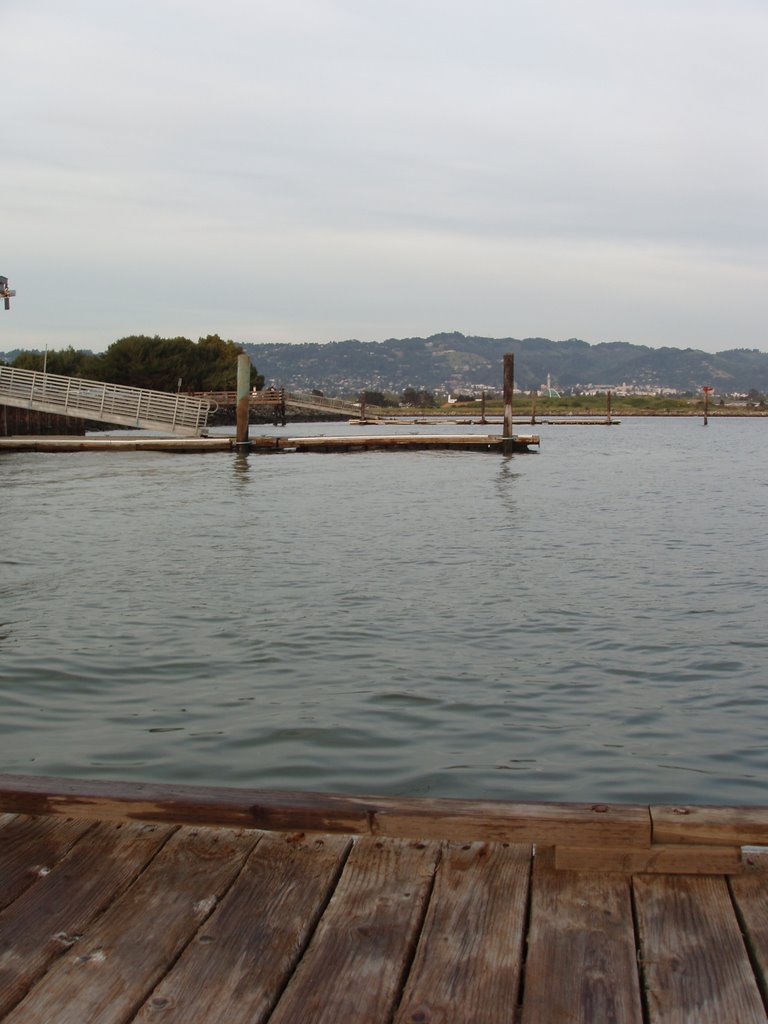 Docks at Cal-Sailing by surfdancer61