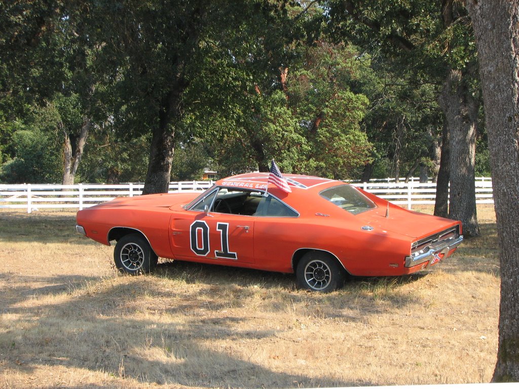 The Dukes of Hazards General Lee by candjfields