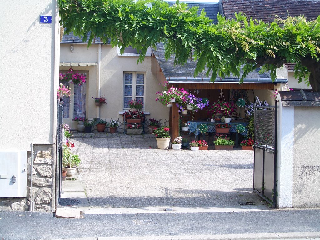 Garden in Mezieres-en-Brenne by Angelina Lord