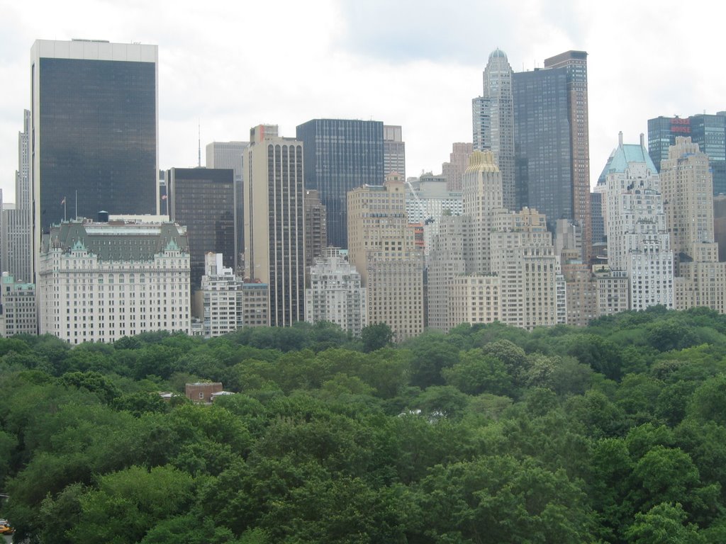 Central Park, New York, NY, USA by masterkot