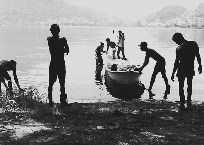 Mortandade de Peixes na Lagoa Rodrigo de Freitas by Flavio Borges