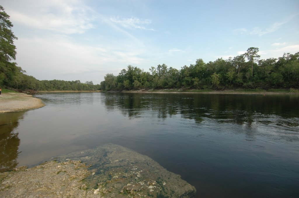 Suwannee River at Little River Spring Run (Downriver) by Leslie Sapp