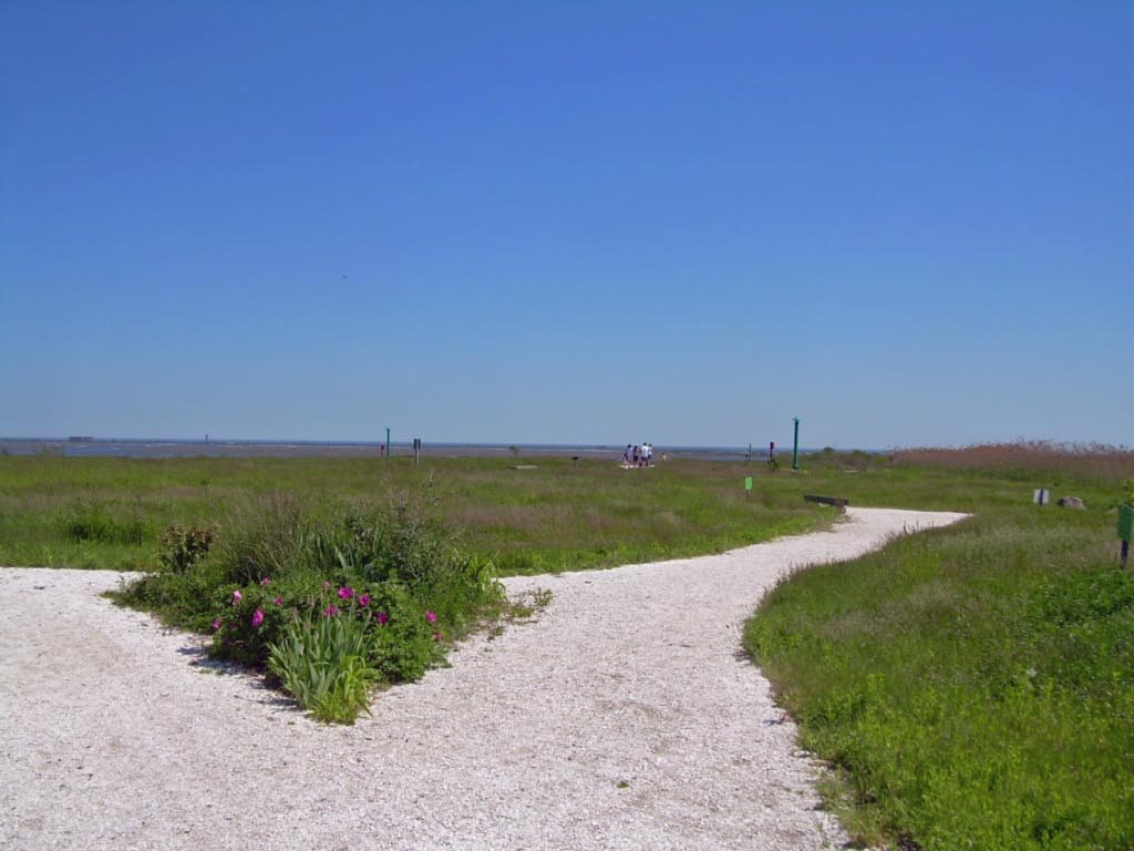 Norman Levy Nature Preserve by Morton Fox