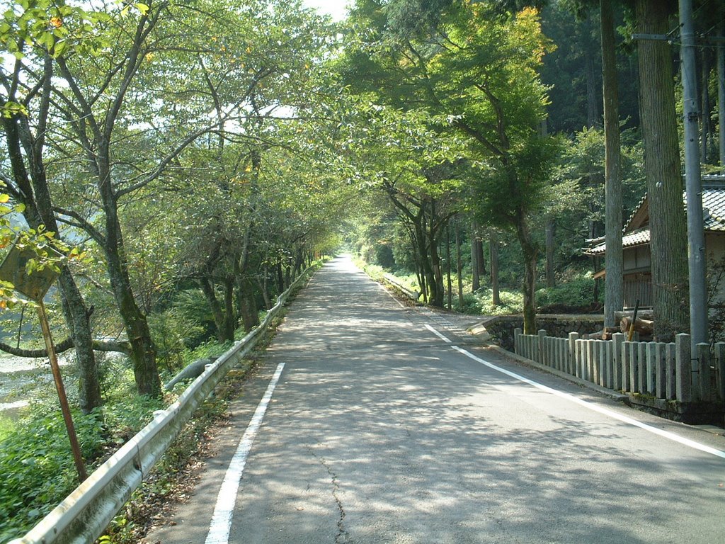 多良峡の道入り口 / Entrance of Tara Valley by Hiro_o