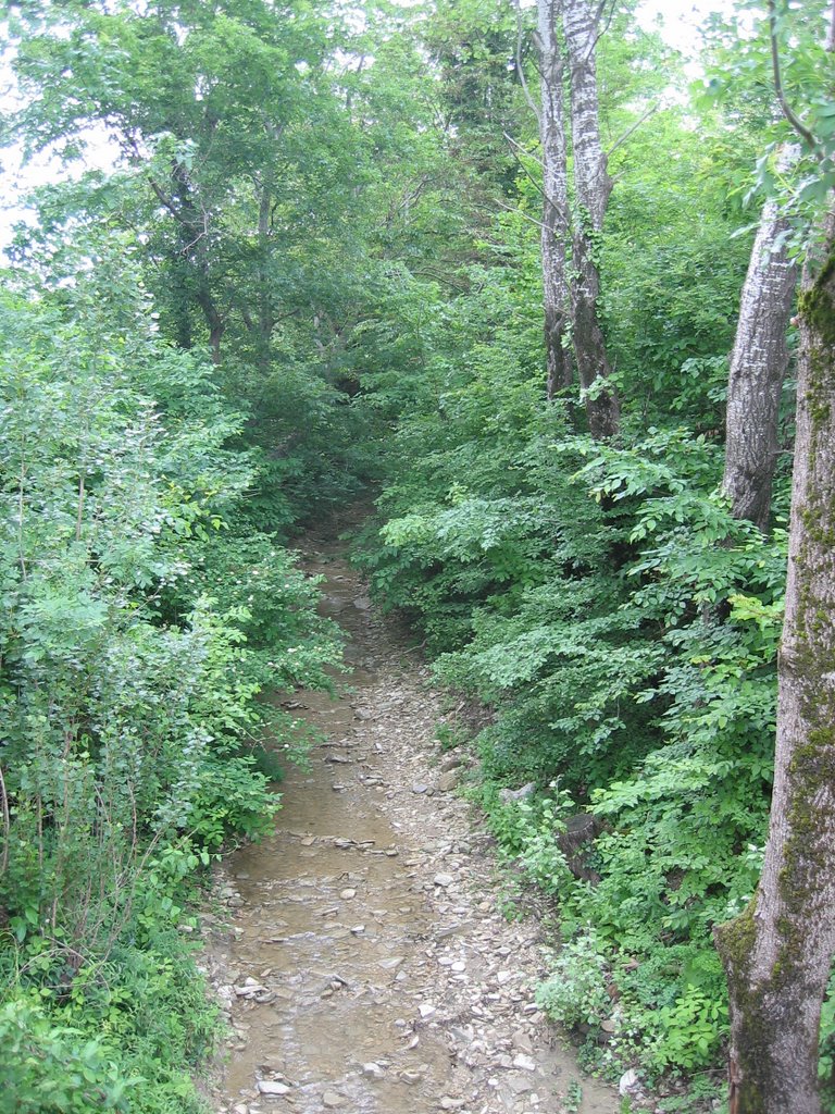 Mountain stream by AntonioRomos