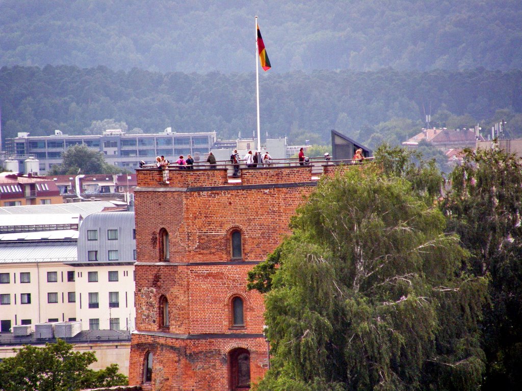 Tower of Gediminas by alvydass