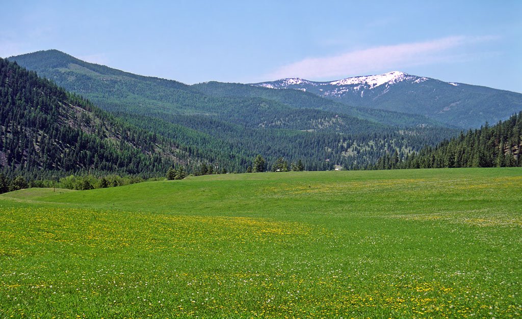 Meadowland and mountains by Rodney Jones