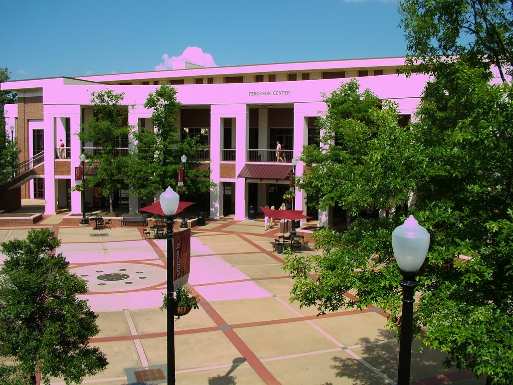 The Ferguson Student Center by UAReligiousStudies