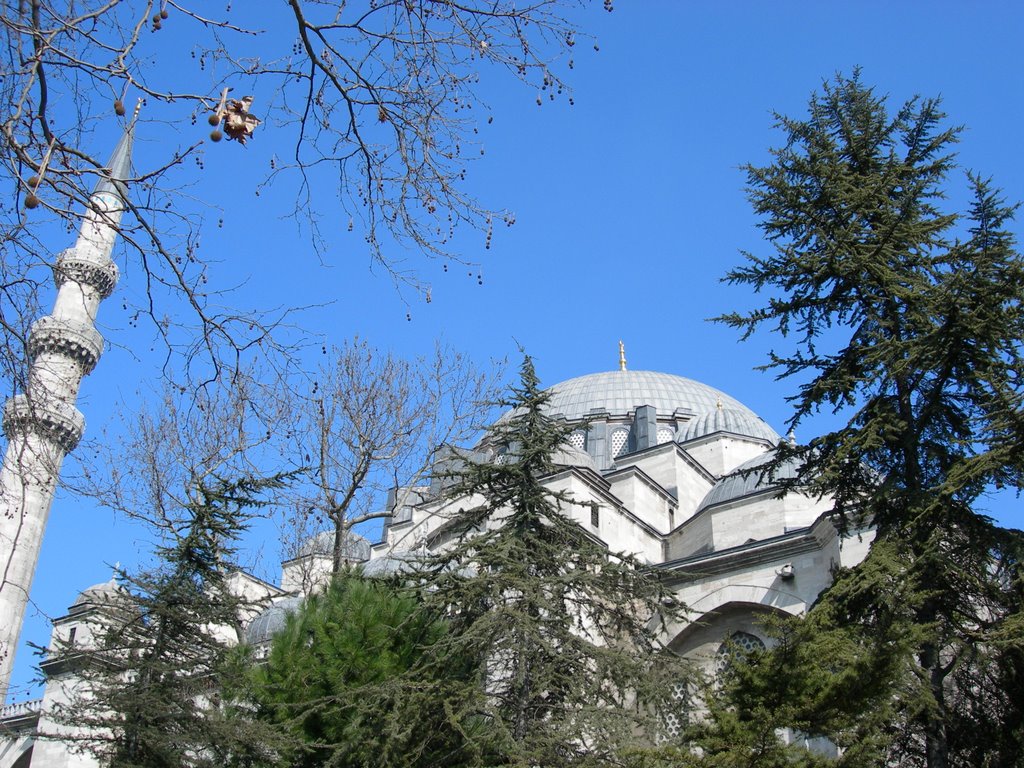 Süleymaniye Camii by Olivier Vuigner