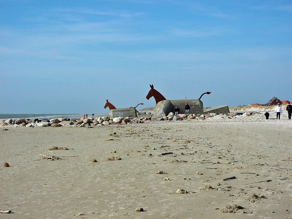 Pferde am Strand von Blavand by marcus62