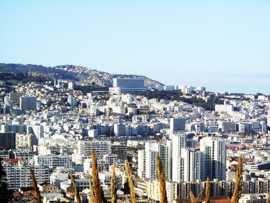 View of algiers from the Monument of the Martyrs by Mounir Boudouda