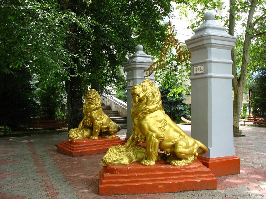 Two lions - symbol of the town / Два льва - символ города by Vadim Tolbatov