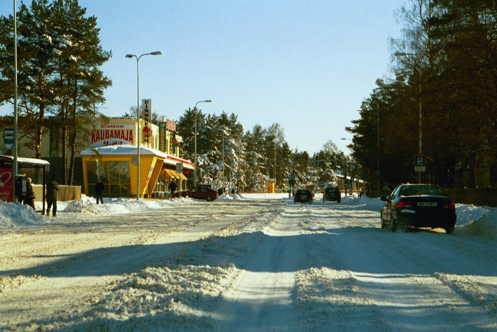 Vabaduse puistee, Tallinn by Gunnar Pihl