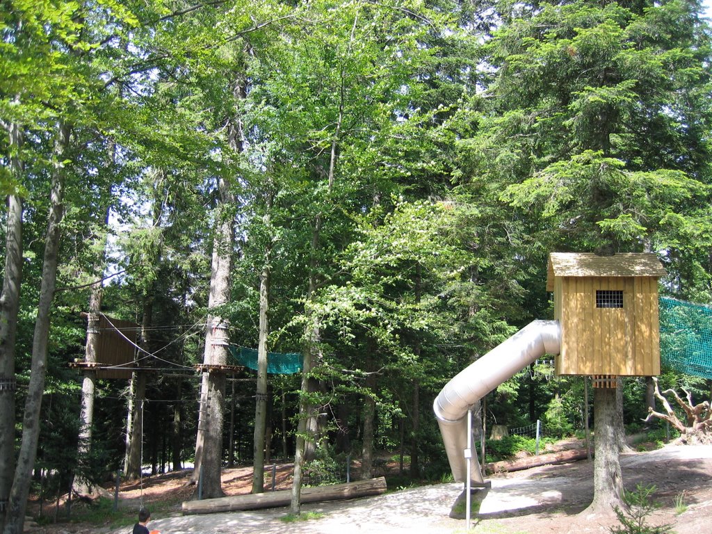 Klettergarten am Mehliskopf / Climbing garden on the Mehliskopf by Ralf Steib