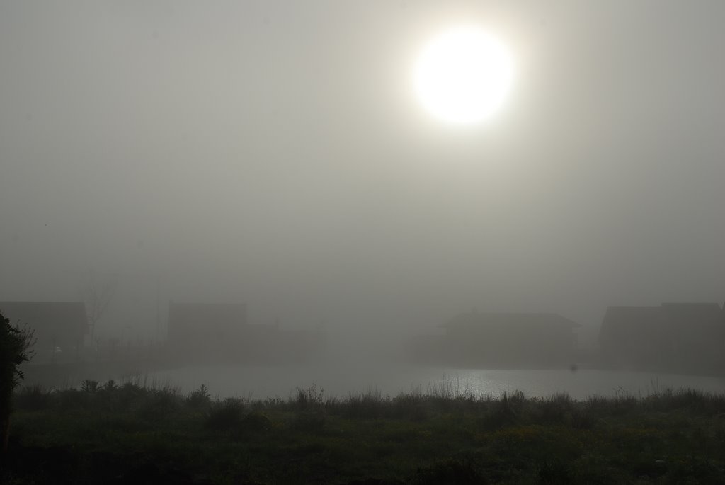 De zon breekt door de mist in Blauwestad by gtj