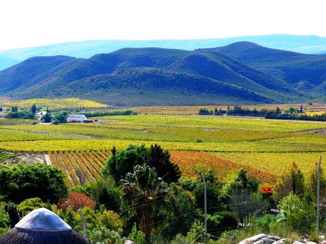 View from Avalon Chalets by H.J. van Zyl