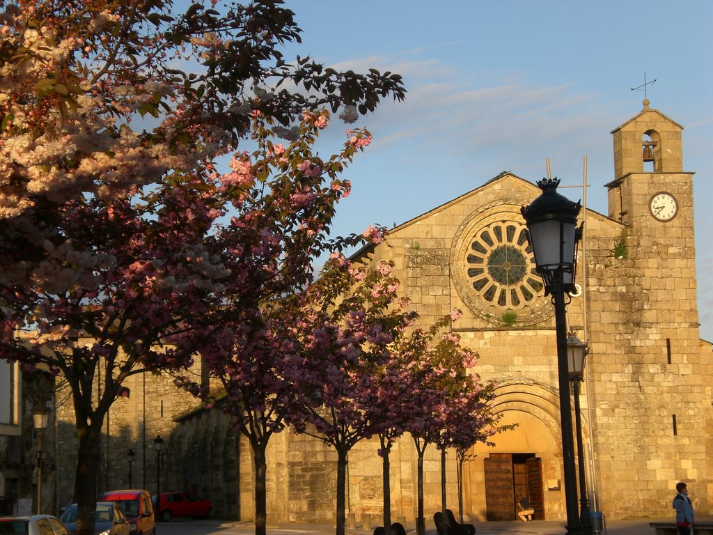 Iglesia de Sta Maria de Meira by FELIX LUNA