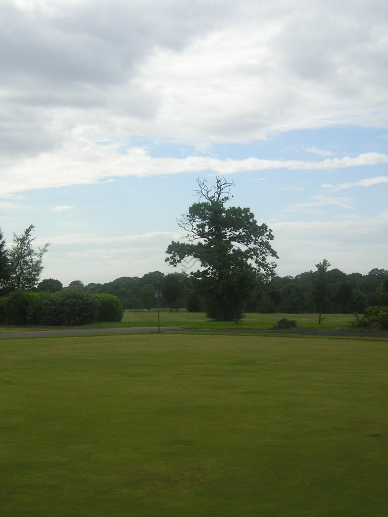 Haslam Park by John Turner