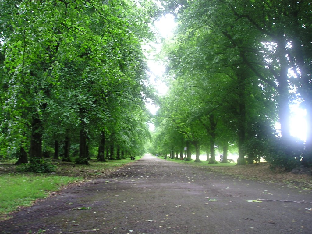 Haslam Park by JohnTurner