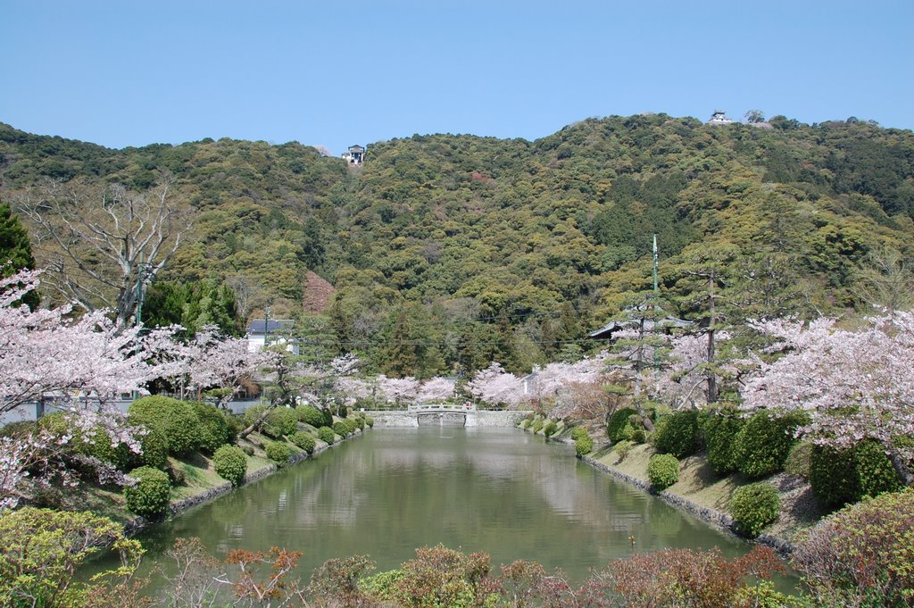 Kikkou　Park by kintai hiroshi