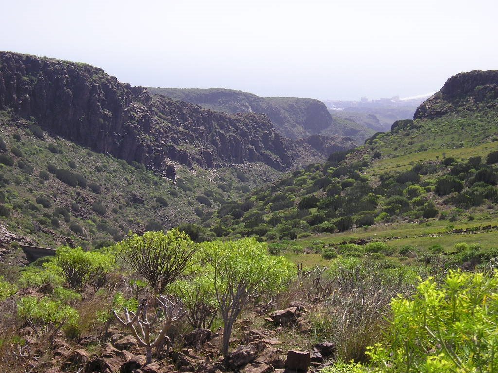 Barranco de Fataga by Doramas