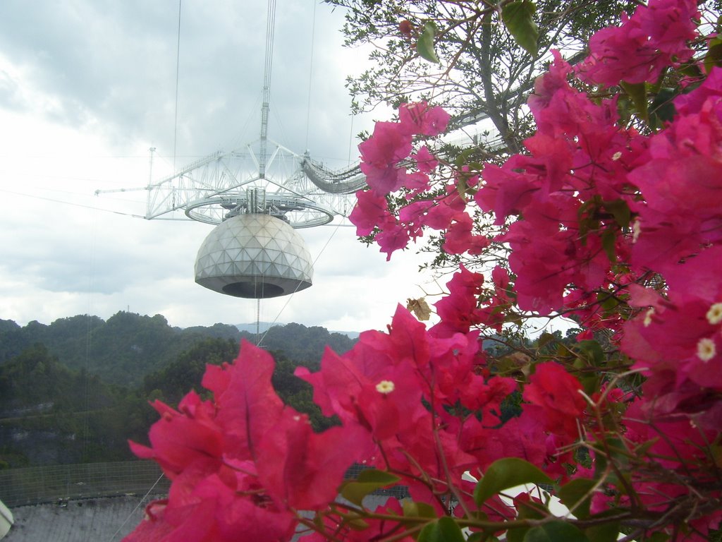 Observatorio de Arecibo, Arecibo, P.R. by JC Silva