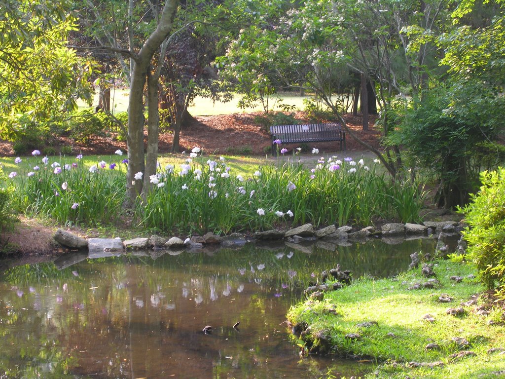 Swan Lake Iris Garden by SCBerry