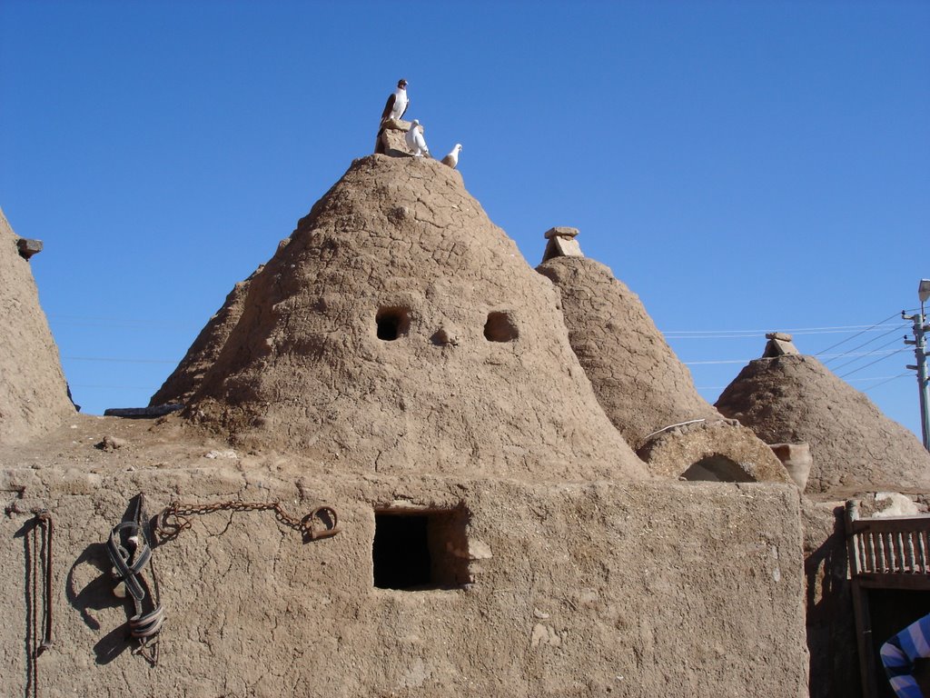 Beehive Houses of Harran by Prof. Richard T. Mor…