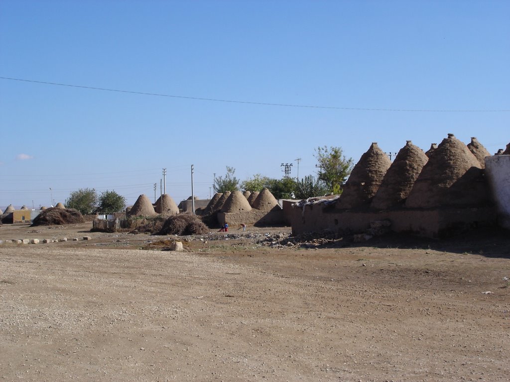 Beehive Houses of Harran by Prof. Richard T. Mortel