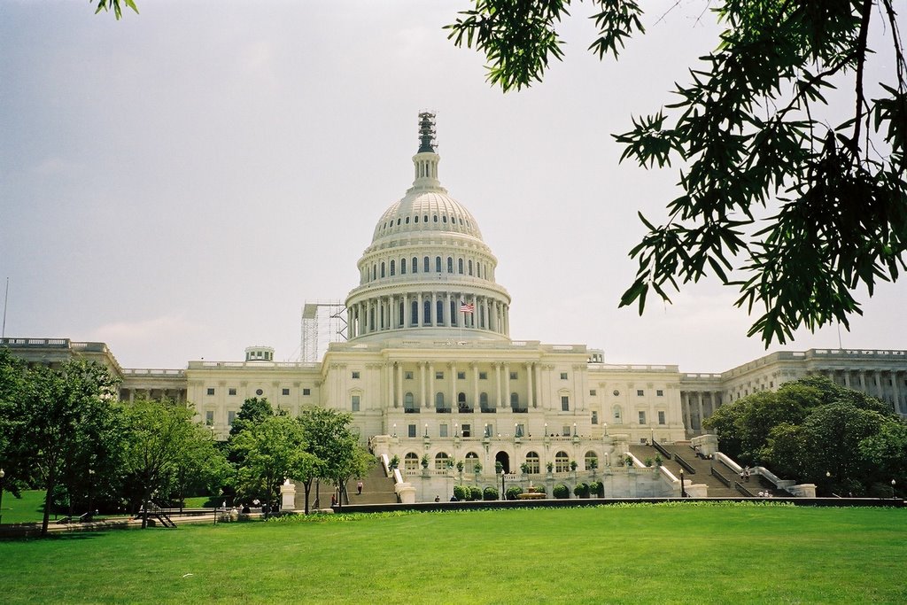 The Capitol, Washington DC by junk0128