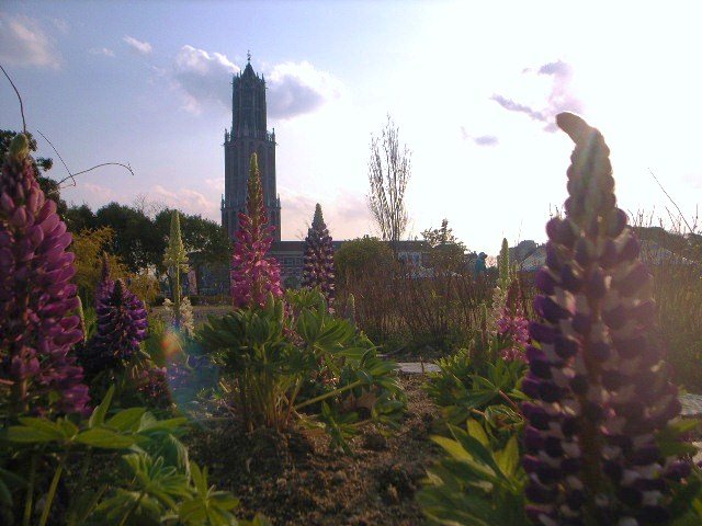 HUIS TEN BOSCH---Symbol tower by koroy