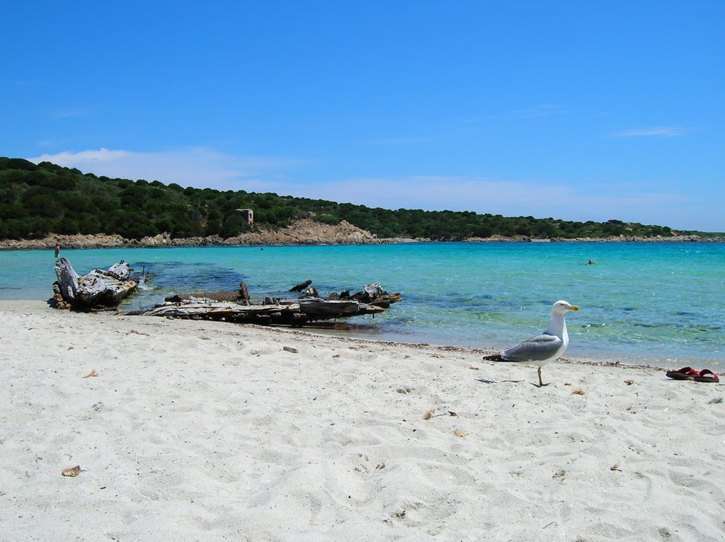 Sardinia- Caprera island - Spiaggia del Relitto by Federica Sala