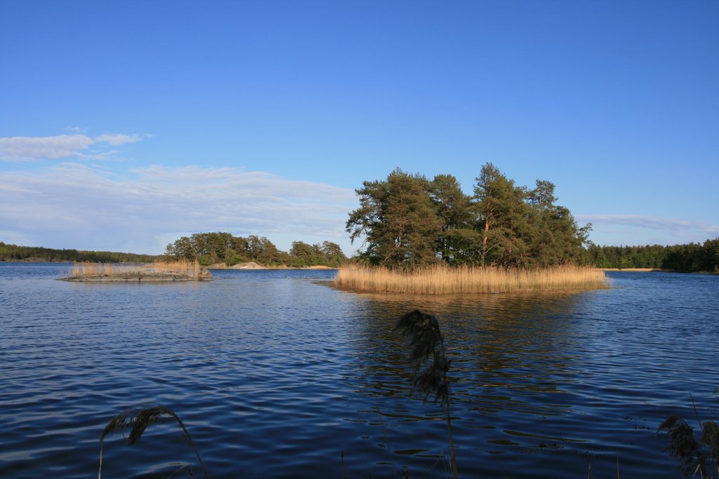 Pure Natur by Ruediger Landwehr