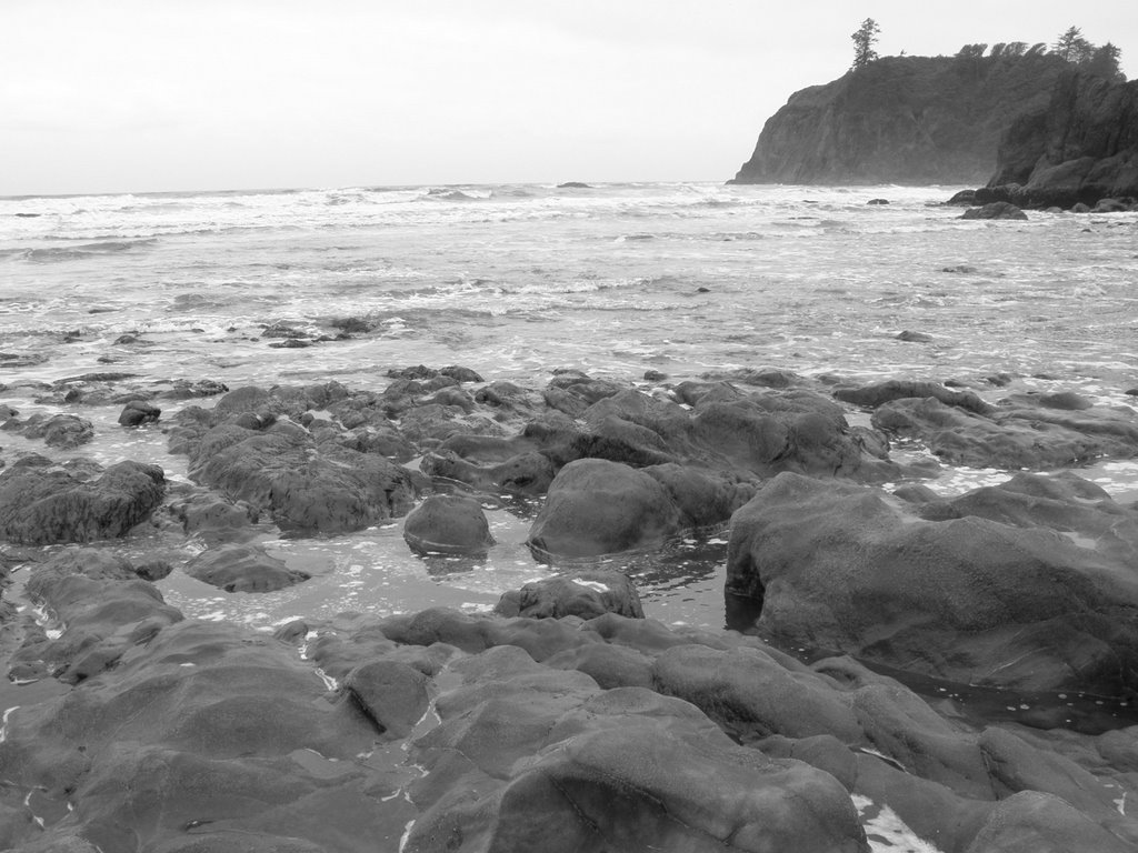 Ruby Beach near low tide by Chris Harmon