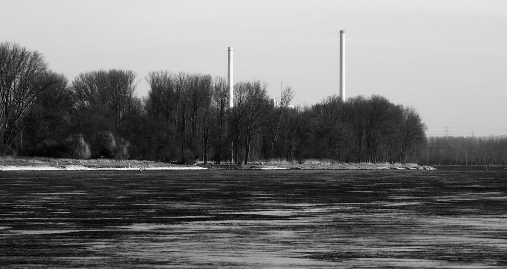 Rhein bei Neuburgweier Richtung Karlsruhe Rheinhafen by rojo0001