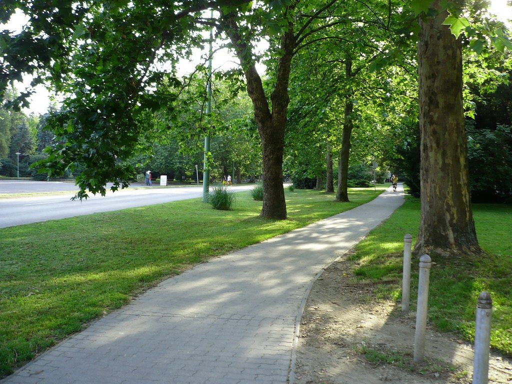 Csongrád, Hungary by kisdoczi