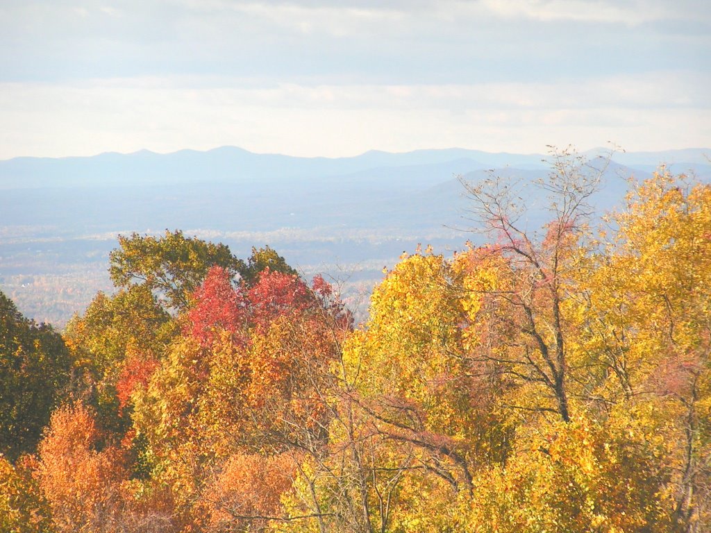 Fall Comes to the Blue Ridge Parkway by Tom Bell