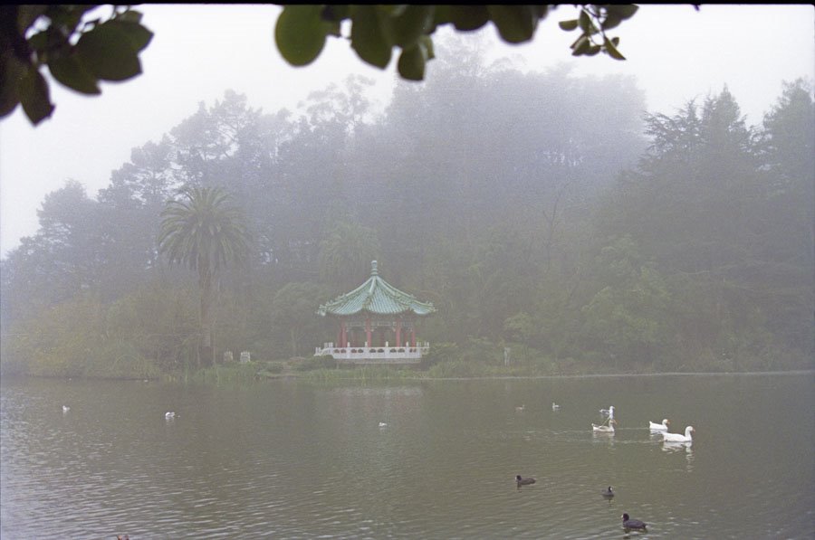 Golden Gate Park-fog03 by John Findley