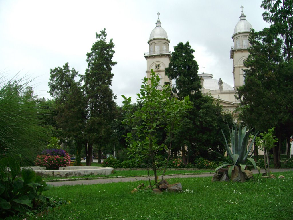 Főtéri park by József Gnandt