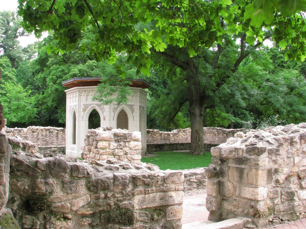 Margaret Island, roman ruins by Enrico Sammartini