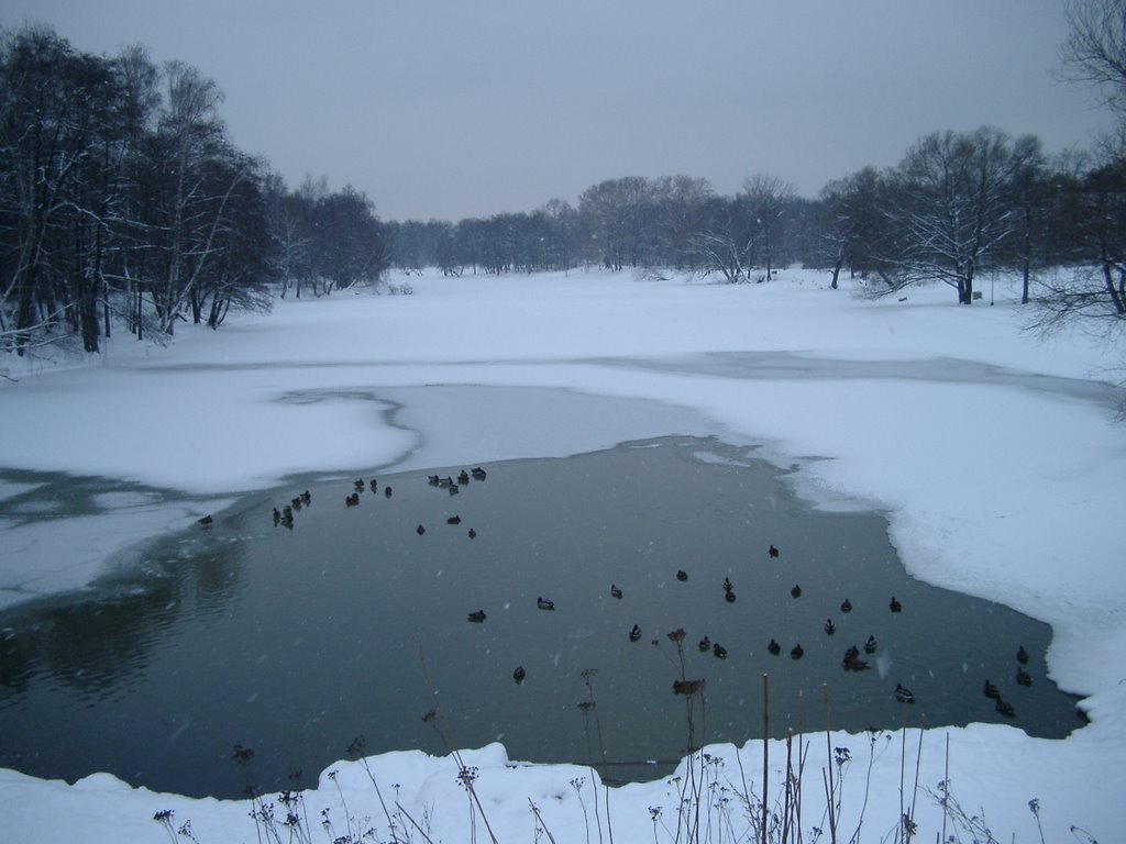 Moscow. Kuzminki park. by Vladislav Tonkonogov