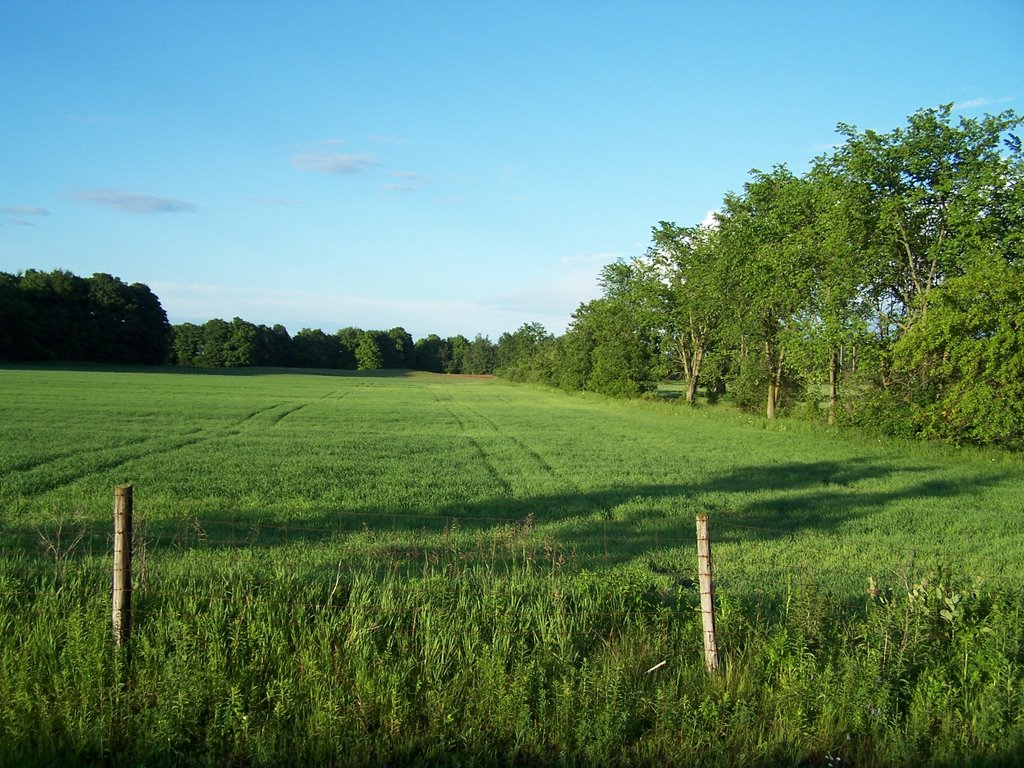 Depuis le Chemin St-Jean, juin 2008 by FGuertin